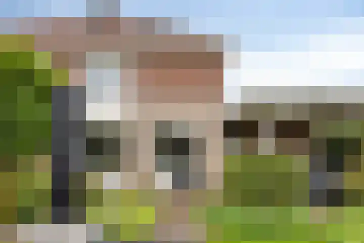 Heiligenbos 13 Berghem thumbnail 33