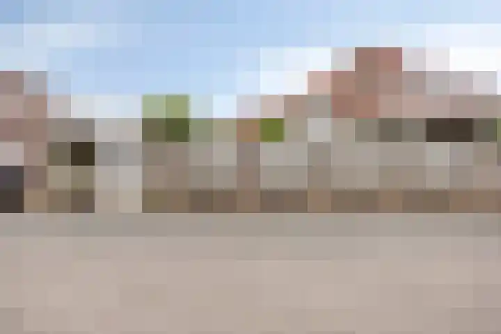 Heiligenbos 13 Berghem thumbnail 38