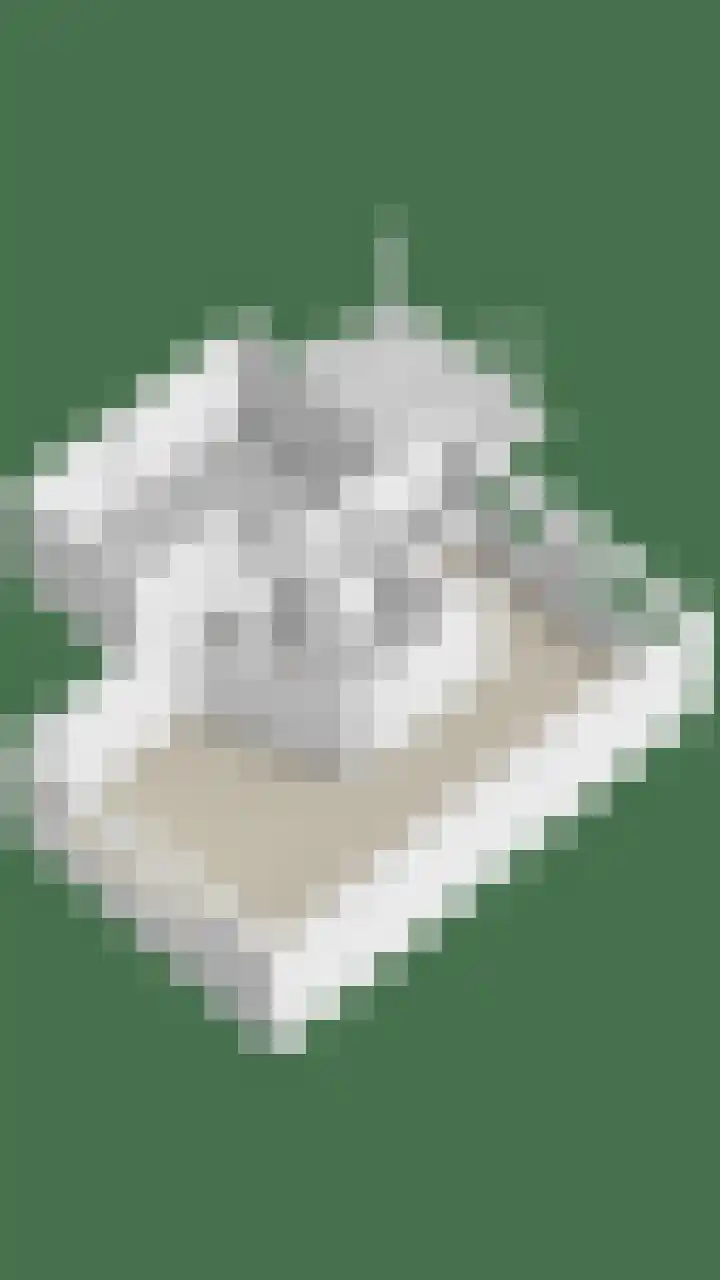 Heiligenbos 13 Berghem thumbnail 48