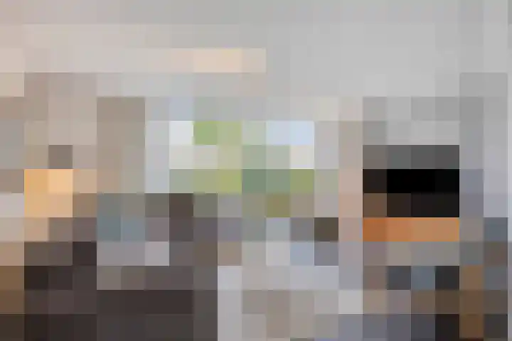 Heiligenbos 13 Berghem thumbnail 6