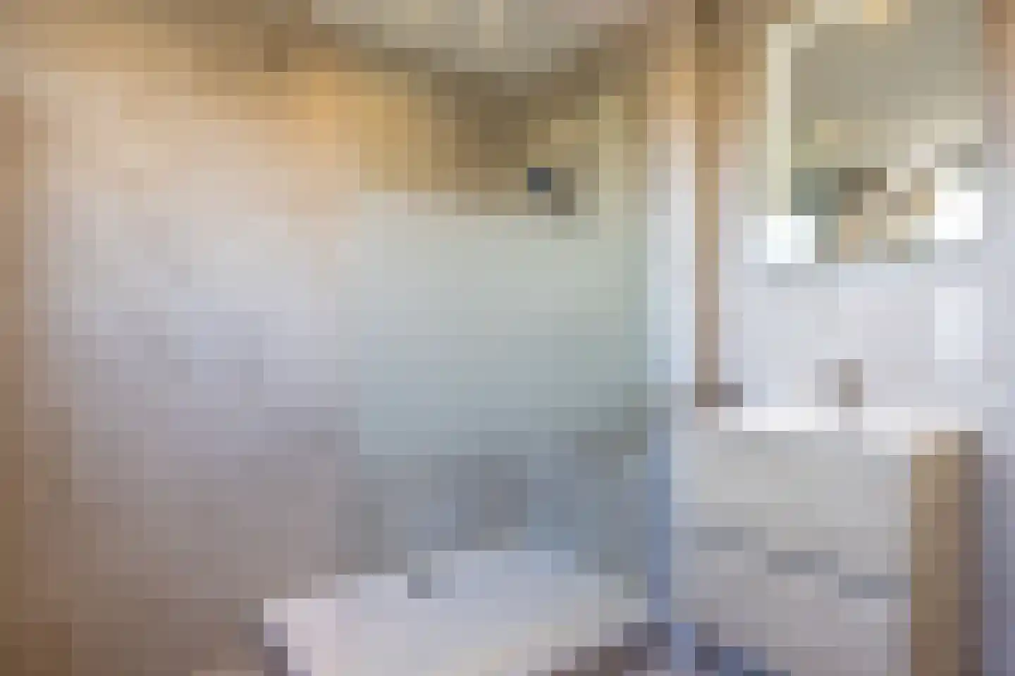 Heiligenhuisstraat 13 Kerkrade thumbnail 30