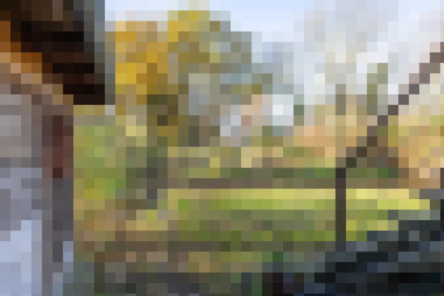Heiligenhuisstraat 13 Kerkrade thumbnail 44
