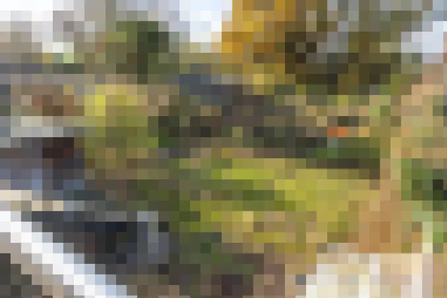 Heiligenhuisstraat 13 Kerkrade thumbnail 46