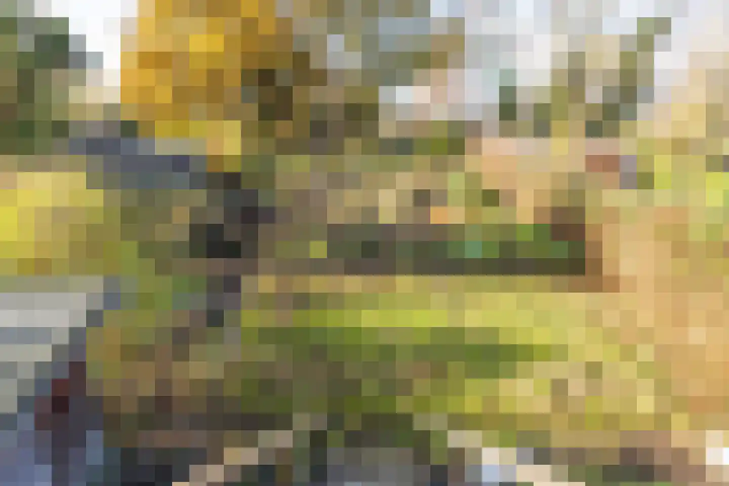 Heiligenhuisstraat 13 Kerkrade thumbnail 47