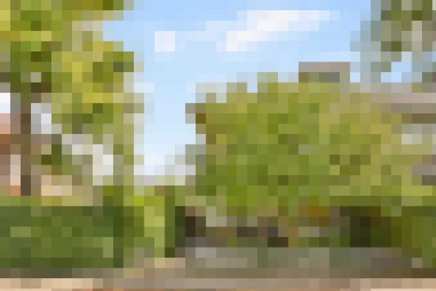 Heiligerleelaan 4 Rotterdam thumbnail 30