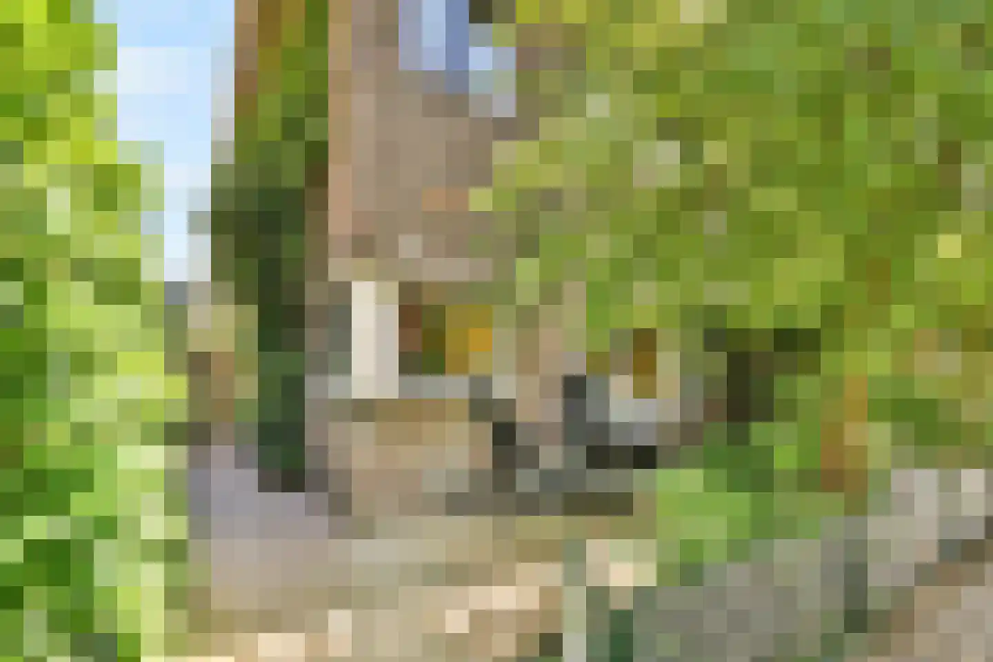 Heiligerleelaan 4 Rotterdam thumbnail 4