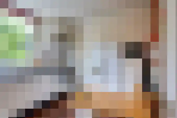 Heiligerleelaan 5 Vlaardingen thumbnail 13