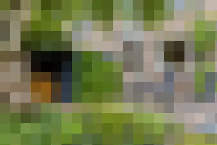 Heiligerleelaan 5 Vlaardingen thumbnail 18