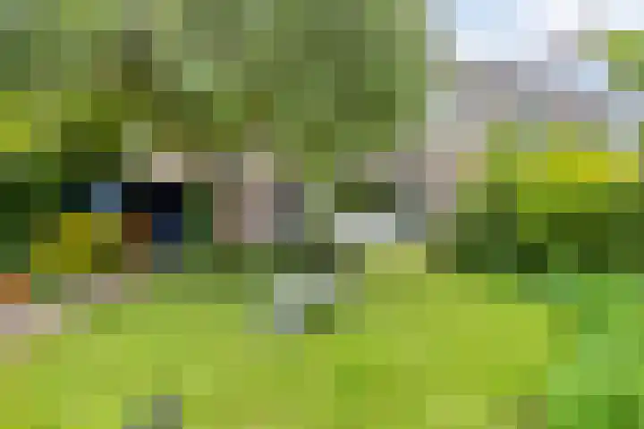 Heiligerleelaan 5 Vlaardingen thumbnail 19