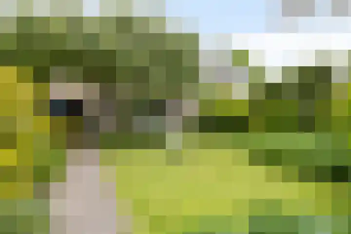 Heiligerleelaan 5 Vlaardingen thumbnail 20