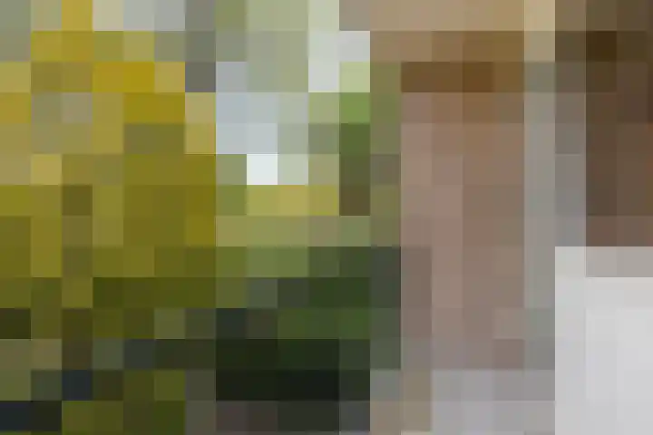 Heiligerleelaan 5 Vlaardingen thumbnail 31