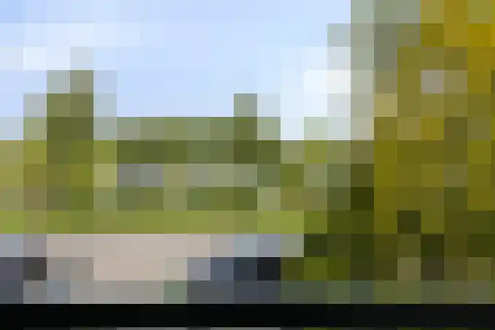 Heiligerleelaan 5 Vlaardingen thumbnail 32