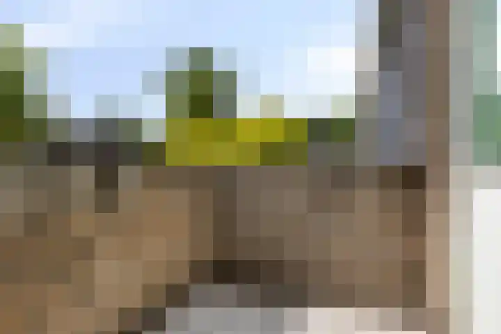 Heiligerleelaan 5 Vlaardingen thumbnail 35