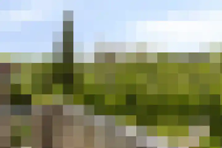 Heiligerleelaan 5 Vlaardingen thumbnail 36