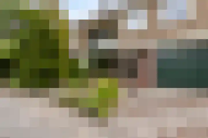 Heiligerleelaan 5 Vlaardingen thumbnail 4