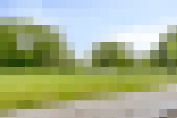 Heiligerleelaan 5 Vlaardingen thumbnail 45