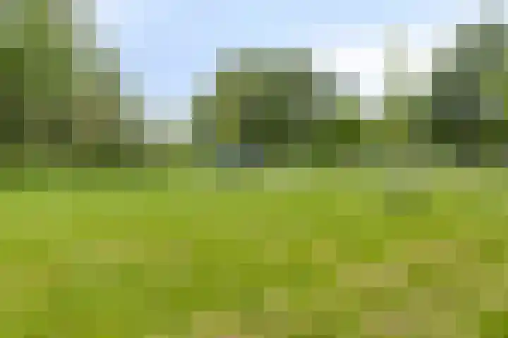 Heiligerleelaan 5 Vlaardingen thumbnail 46