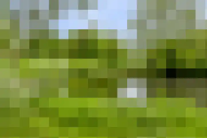 Heiligerleelaan 5 Vlaardingen thumbnail 47