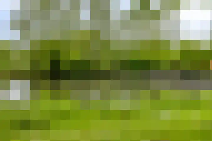 Heiligerleelaan 5 Vlaardingen thumbnail 48