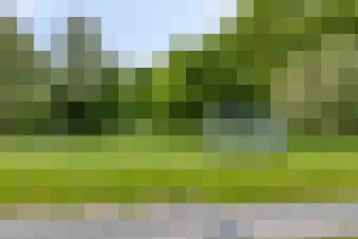 Heiligerleelaan 5 Vlaardingen thumbnail 49