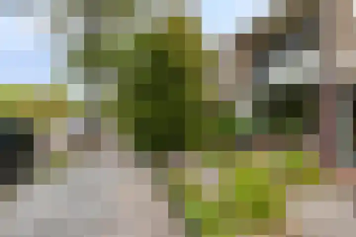 Heiligerleelaan 5 Vlaardingen thumbnail 5