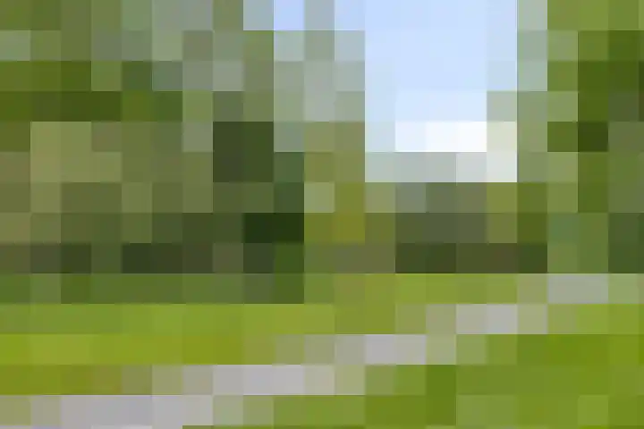Heiligerleelaan 5 Vlaardingen thumbnail 50