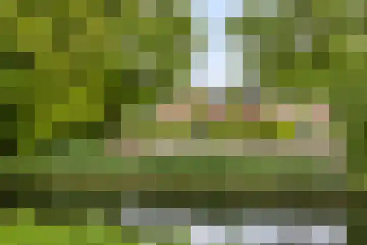 Heiligerleelaan 5 Vlaardingen thumbnail 51