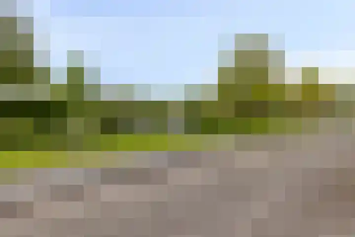Heiligerleelaan 5 Vlaardingen thumbnail 6