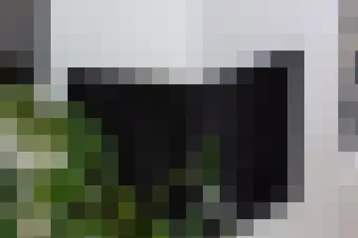 Heiligerleelaan 6 Rotterdam thumbnail 11
