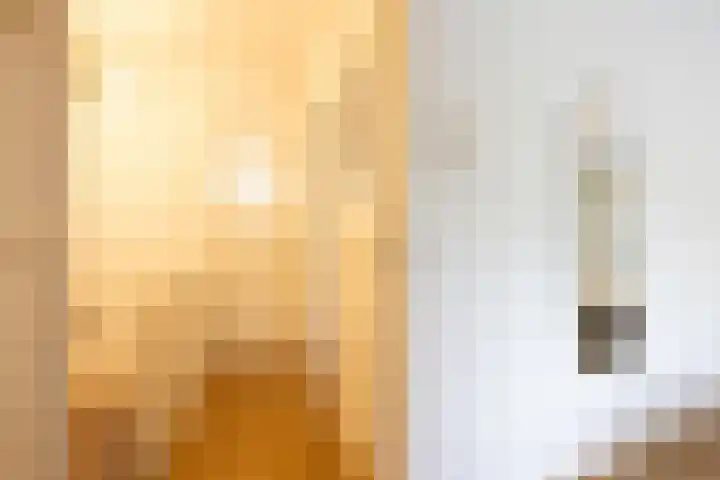 Heiligerleelaan 6 Rotterdam thumbnail 18