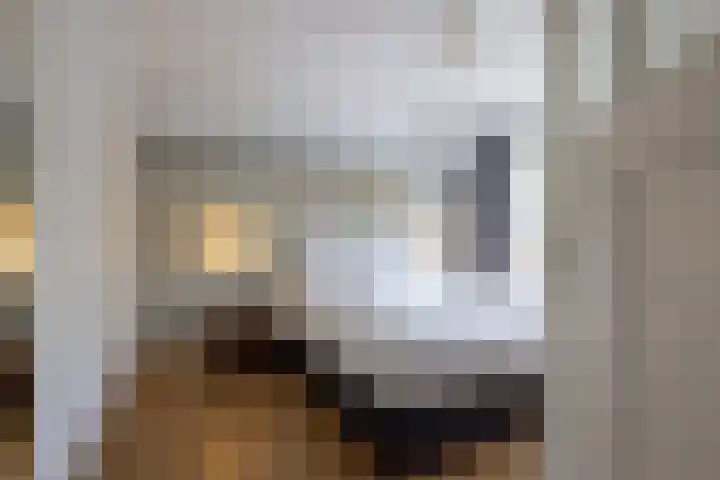 Heiligerleelaan 6 Rotterdam thumbnail 19