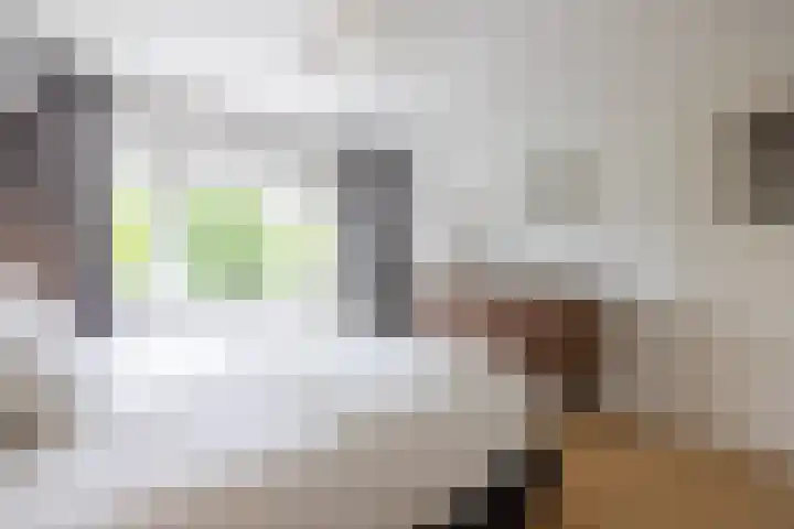 Heiligerleelaan 6 Rotterdam thumbnail 21