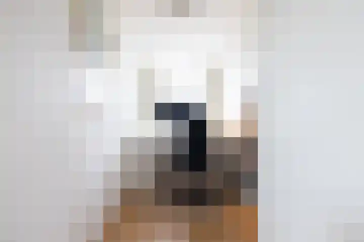 Heiligerleelaan 6 Rotterdam thumbnail 36