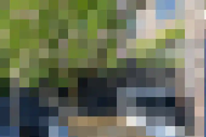 Heiligerleelaan 6 Rotterdam thumbnail 39