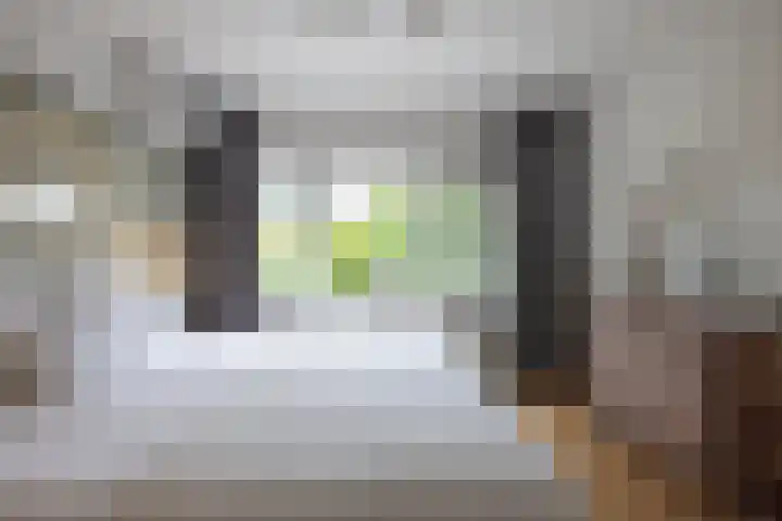 Heiligerleelaan 6 Rotterdam thumbnail 4