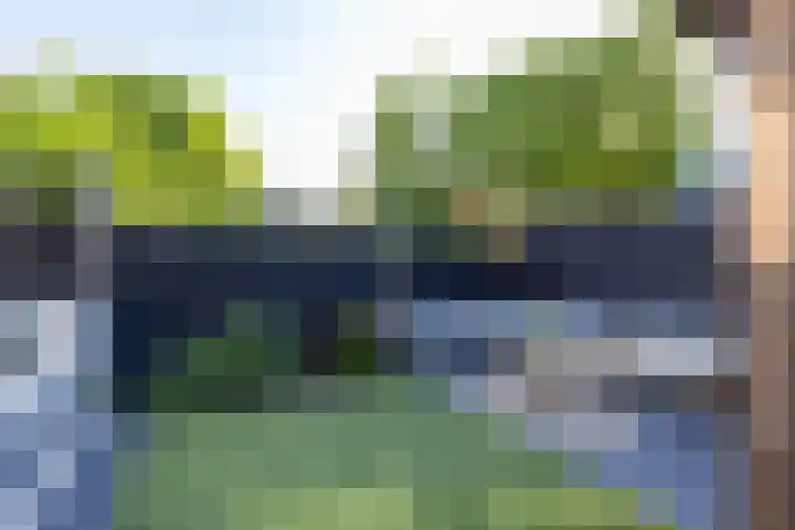 Heiligerleelaan 6 Rotterdam thumbnail 43