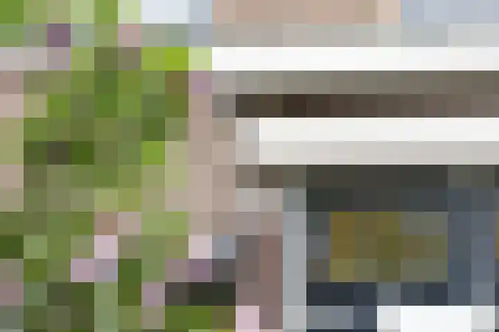 Heiligerleelaan 6 Rotterdam thumbnail 48