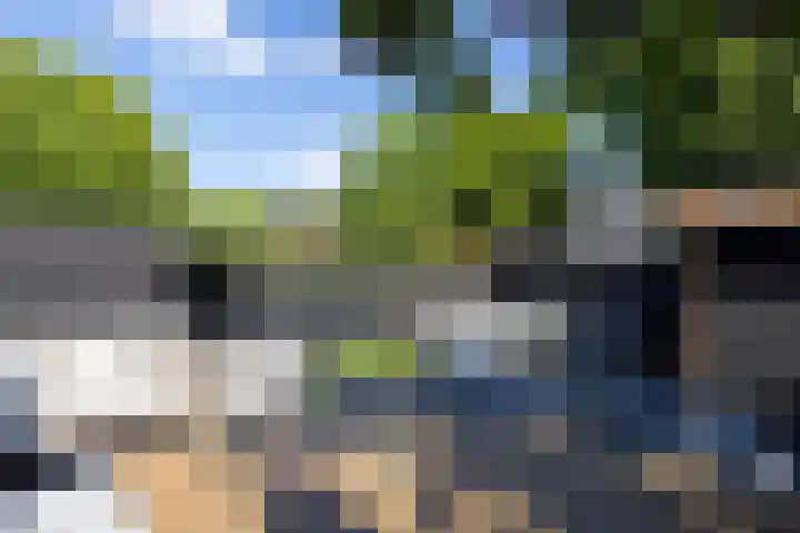 Heiligerleelaan 6 Rotterdam thumbnail 5