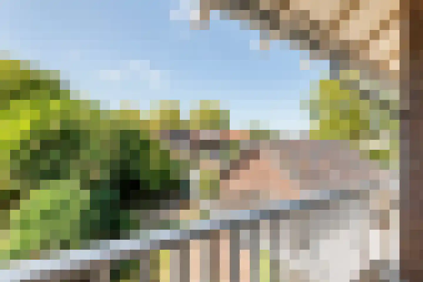 Heiligestraat 10 Tiel thumbnail 19