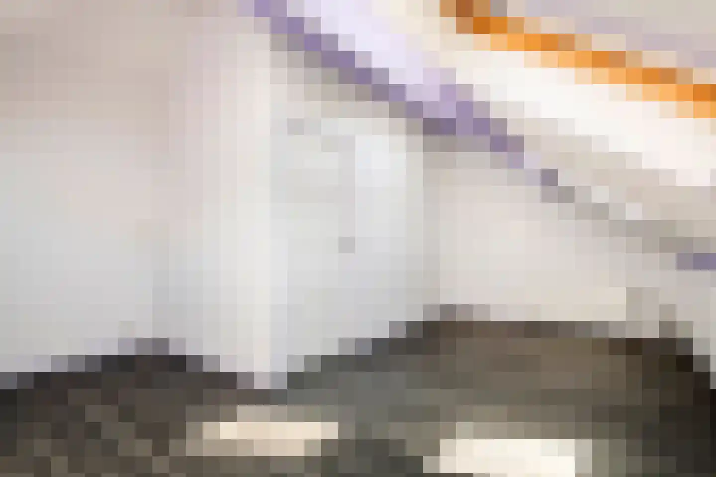 Heiligestraat 10 Tiel thumbnail 25