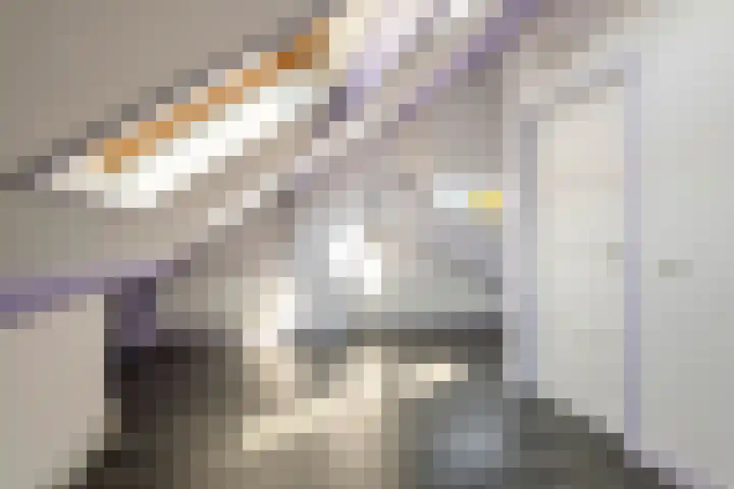 Heiligestraat 10 Tiel thumbnail 26