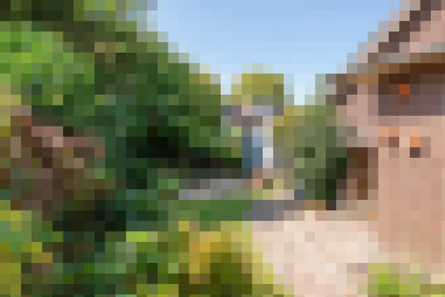 Heiligestraat 10 Tiel thumbnail 32