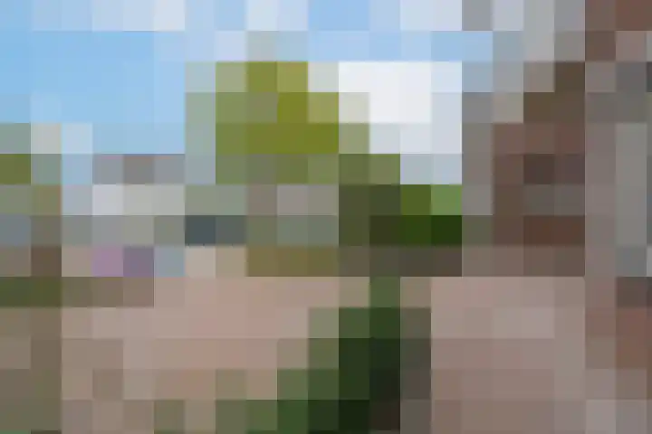 Heiligestraat 14 a Tiel thumbnail 11