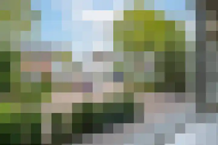 Heiligestraat 14 a Tiel thumbnail 24