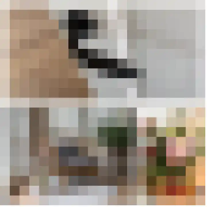 Heiligestraat 14 a Tiel thumbnail 30