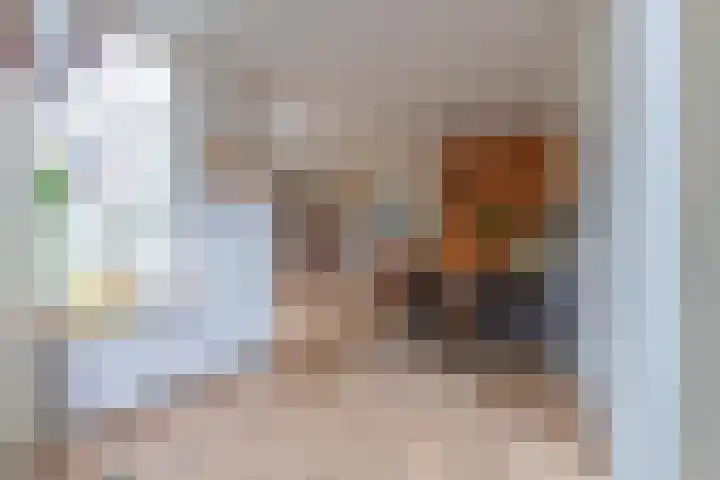 Heiligestraat 14 a Tiel thumbnail 35