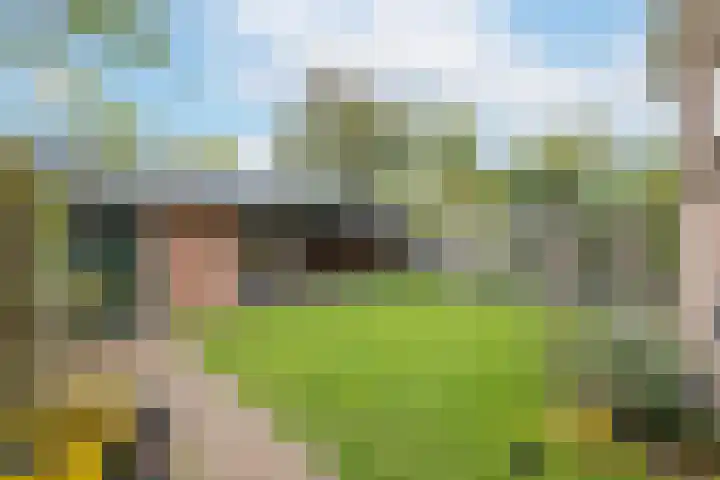 Heiligestraat 14 a Tiel thumbnail 4