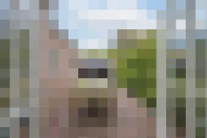 Heiligestraat 14 a Tiel thumbnail 40