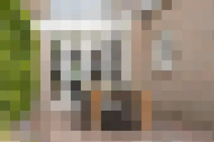 Heiligestraat 14 a Tiel thumbnail 50
