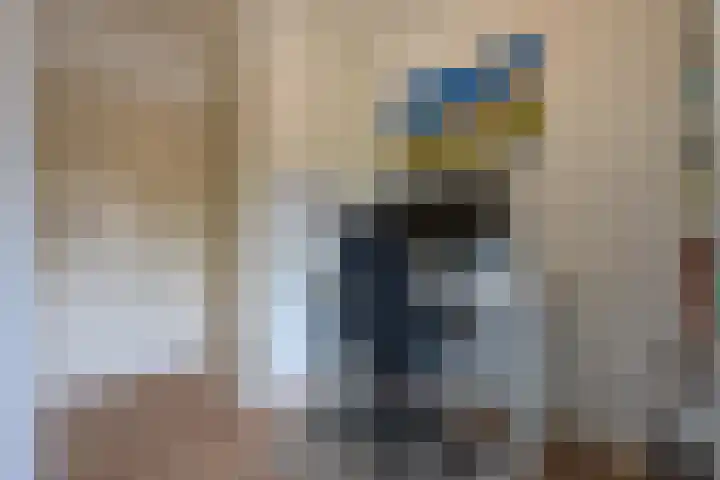 Heiligestraat 14 a Tiel thumbnail 60